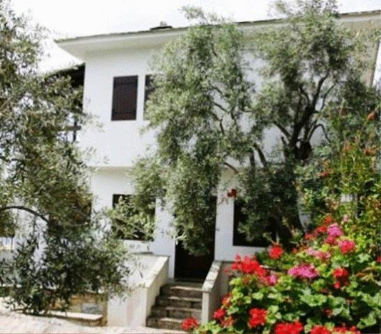 Sea Front Apartment Milina Exterior photo